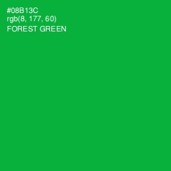 #08B13C - Forest Green Color Image