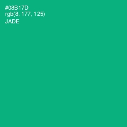 #08B17D - Jade Color Image