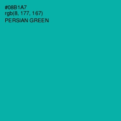 #08B1A7 - Persian Green Color Image