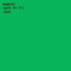 #08B557 - Jade Color Image