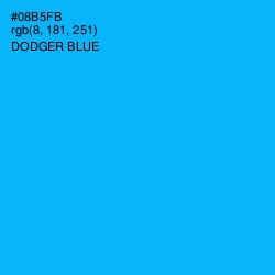 #08B5FB - Dodger Blue Color Image