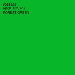 #08B629 - Forest Green Color Image