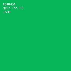 #08B65A - Jade Color Image