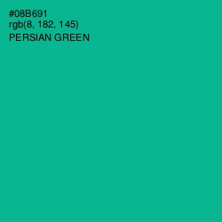 #08B691 - Persian Green Color Image