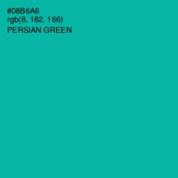 #08B6A6 - Persian Green Color Image