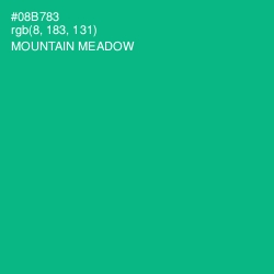 #08B783 - Mountain Meadow Color Image