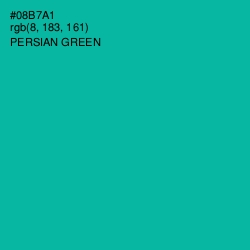 #08B7A1 - Persian Green Color Image