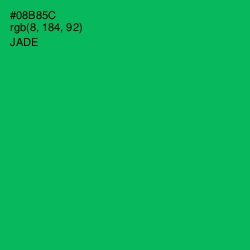 #08B85C - Jade Color Image