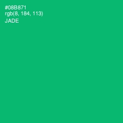 #08B871 - Jade Color Image