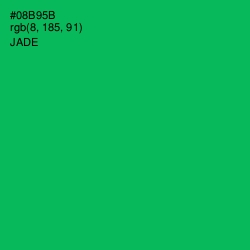 #08B95B - Jade Color Image