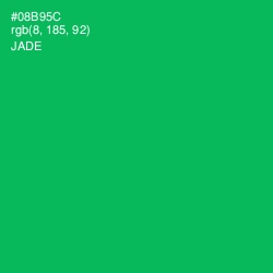 #08B95C - Jade Color Image