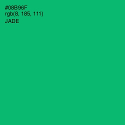 #08B96F - Jade Color Image