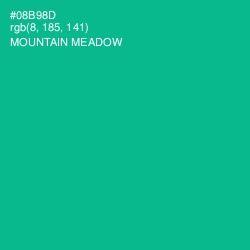 #08B98D - Mountain Meadow Color Image