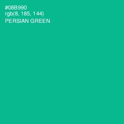 #08B990 - Persian Green Color Image