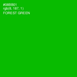 #08BB01 - Forest Green Color Image