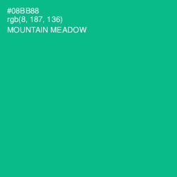 #08BB88 - Mountain Meadow Color Image