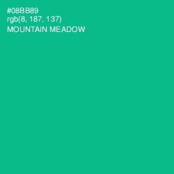 #08BB89 - Mountain Meadow Color Image