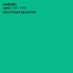 #08BB8D - Mountain Meadow Color Image