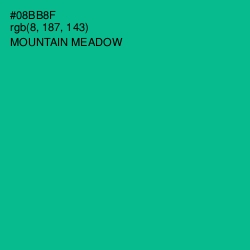 #08BB8F - Mountain Meadow Color Image