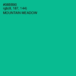 #08BB90 - Mountain Meadow Color Image