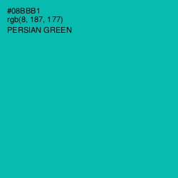 #08BBB1 - Persian Green Color Image