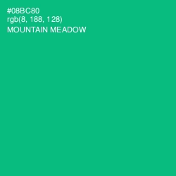 #08BC80 - Mountain Meadow Color Image