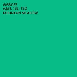 #08BC87 - Mountain Meadow Color Image