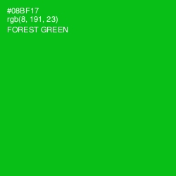 #08BF17 - Forest Green Color Image