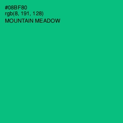 #08BF80 - Mountain Meadow Color Image