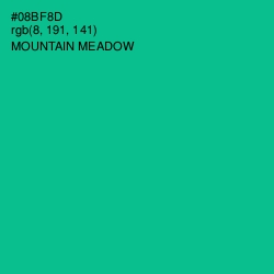 #08BF8D - Mountain Meadow Color Image