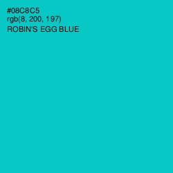 #08C8C5 - Robin's Egg Blue Color Image