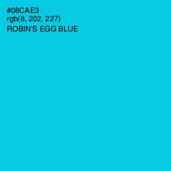 #08CAE3 - Robin's Egg Blue Color Image
