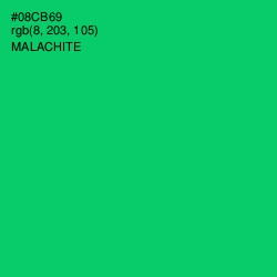 #08CB69 - Malachite Color Image