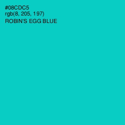 #08CDC5 - Robin's Egg Blue Color Image