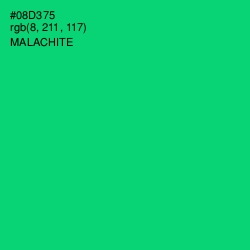 #08D375 - Malachite Color Image