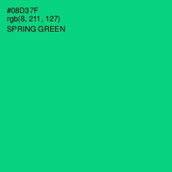 #08D37F - Spring Green Color Image