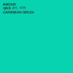 #08D3B1 - Caribbean Green Color Image