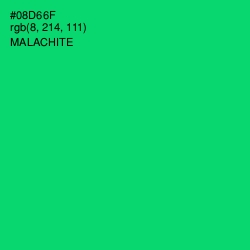 #08D66F - Malachite Color Image