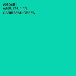 #08D6B1 - Caribbean Green Color Image