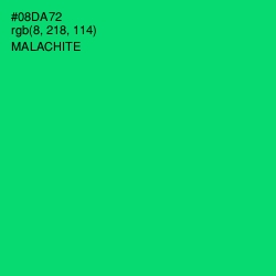 #08DA72 - Malachite Color Image