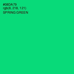 #08DA79 - Spring Green Color Image