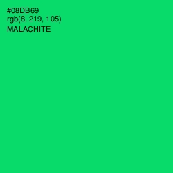 #08DB69 - Malachite Color Image