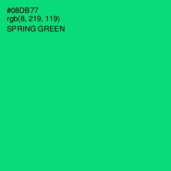 #08DB77 - Spring Green Color Image