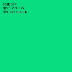 #08DD7F - Spring Green Color Image