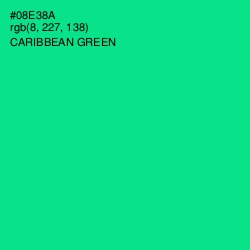 #08E38A - Caribbean Green Color Image