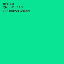 #08E493 - Caribbean Green Color Image