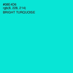 #08E4D6 - Bright Turquoise Color Image