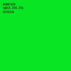 #08E623 - Green Color Image