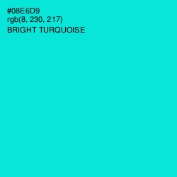#08E6D9 - Bright Turquoise Color Image