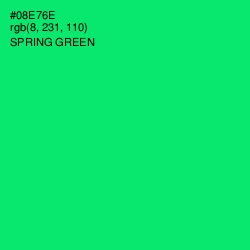 #08E76E - Spring Green Color Image